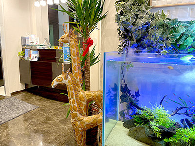 ホワイトエッセンス株式会社 伊東歯科医院の正社員 歯科衛生士の求人情報イメージ4